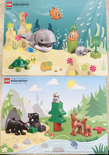 Set 45029 Activity Card 4 (6303182)