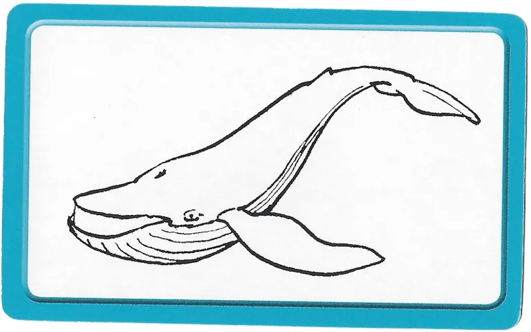 Set 5004933 Activity Card 4 - Whale and Caterpillar