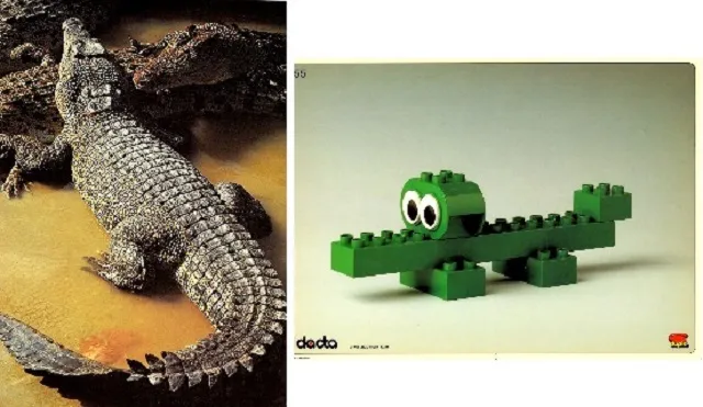 Set 9055 Activity Card 1 - Crocodile (120246)