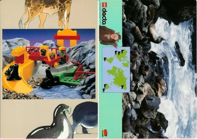 Set 9160 Activity Card 1 - Seal (120330)