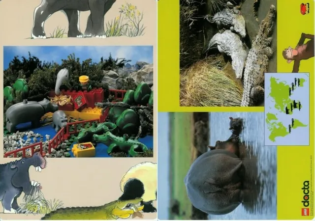 Set 9160 Activity Card 2 - Hippopotamus and Alligator (120330)