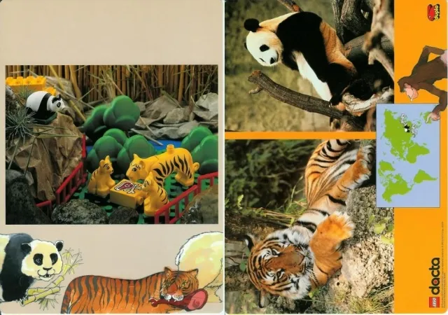 Set 9160 Activity Card 3 - Tiger and Panda (120330)