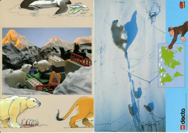 Set 9160 Activity Card 4 - Polar Bear (120330)