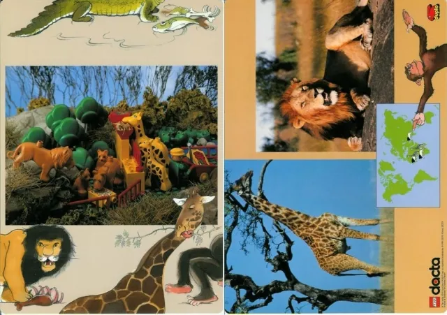 Set 9160 Activity Card 5 - Giraffe and Lion (120330)