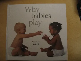 Why Babies Play