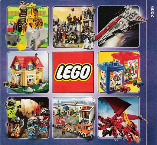 2009 Large Japanese (4580718-JA)