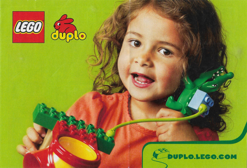 2010 Small Duplo (4592609)