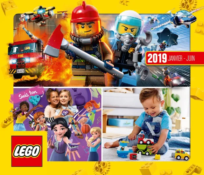 2019 Large French January - June (626.1894-FR 626.1888 FR for BLX 626.1917 FR for REEMEA)