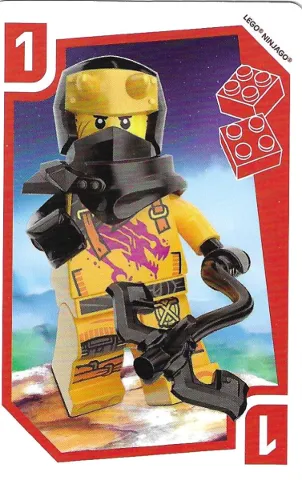 NINJAGO - Set 2D001183 Fun Card 1
