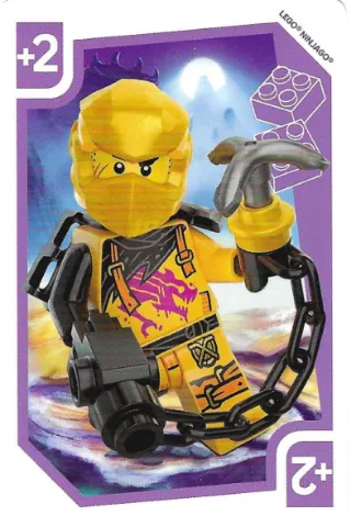 NINJAGO - Set 2D001184 Fun Card 6
