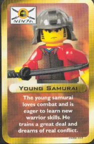 Young Samurai