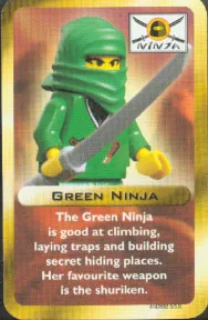 Green Ninja Princess
