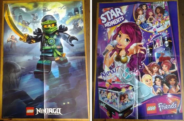 Ninjago / Friends Poster, Double-Sided (6126810/6126475)