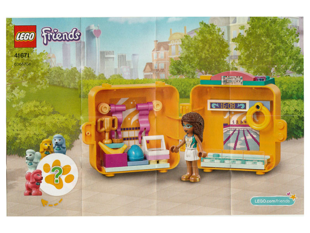 Flyer 2021 Set 41671 Insert - Inspirational Material