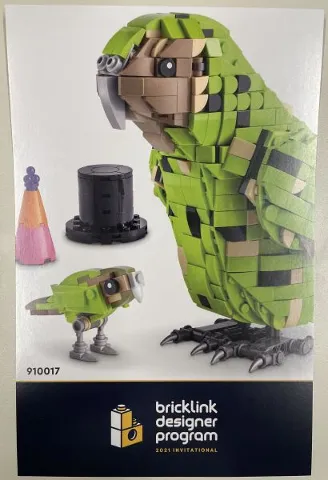 Flyer 2021 Set 910017 Insert - Building App Link and Instructions