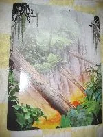 Paper Cardboard Backdrop for Set 8114