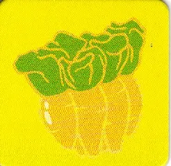 DUPLO Picture Lottery Game Card, Stable - Carrots