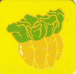 DUPLO Picture Lottery Game Card, Stable - Carrots