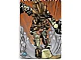 BIONICLE Great Mask Challenge Game Card 113