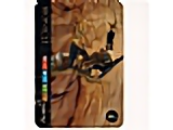 BIONICLE Lamincard 154