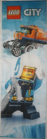 Display Flag Cloth, City Arctic Explorers