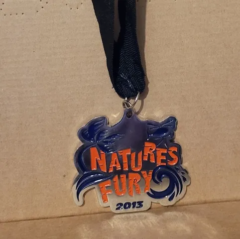 Medal First Lego League, Natures Fury