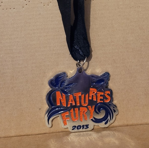 Medal First Lego League, Natures Fury