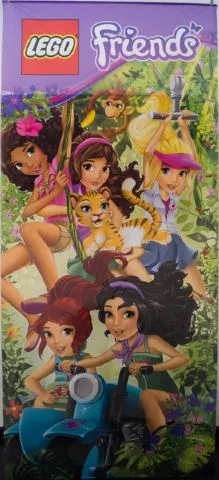 Display Flag Cloth, Friends 5 Girls