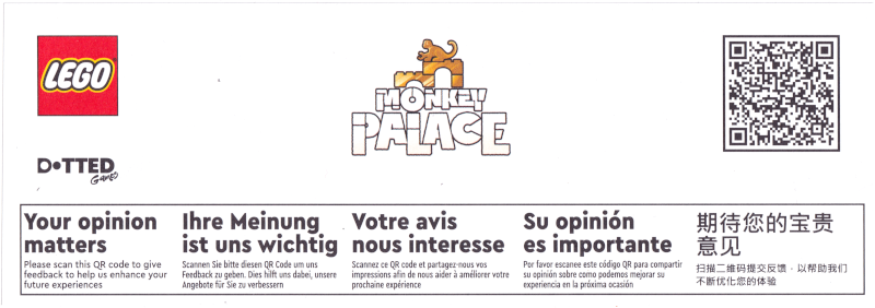 Monkey Palace Game Survey Flyer