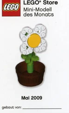 Mini-Modell des Monats-Karte - 2009 05 Mai, Butterblume