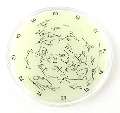 Watch Part, Bezel Attachment Insert - Disc with Black Northern Hemisphere Constellations and Numbers on Glow in the Dark Background Pattern