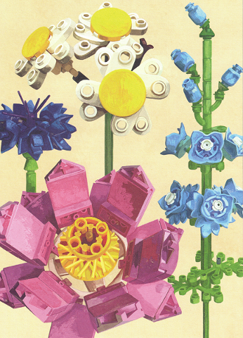 Botanicals Exclusive Print, Lotus, Common Daisy, Larkspur, and Cornflower (from Botanical Almanac)