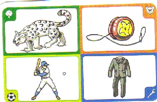 Creationary Game Card 116 Snow Leopard