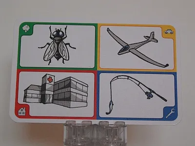 Creationary Game Card 19 Fly