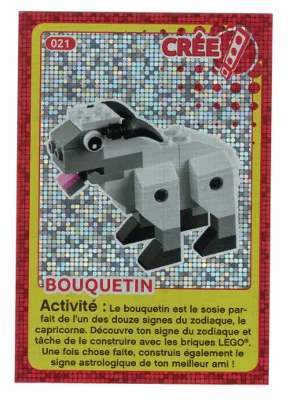 Create the World Trading Card #021 Create: Bouquetin (French)