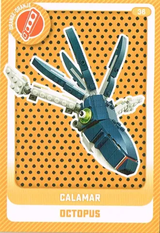 Create the World Trading Card #  36 Calamar / Octopus (Belgian)
