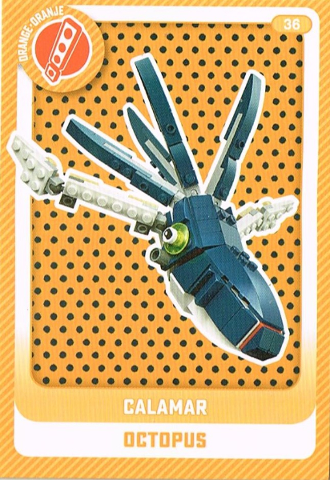 Create the World Trading Card #  36 Calamar / Octopus (Belgian)
