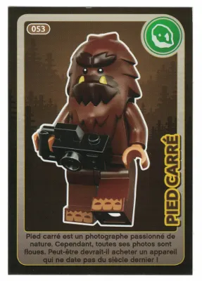 Create the World Trading Card #053 Pied Carré (French)