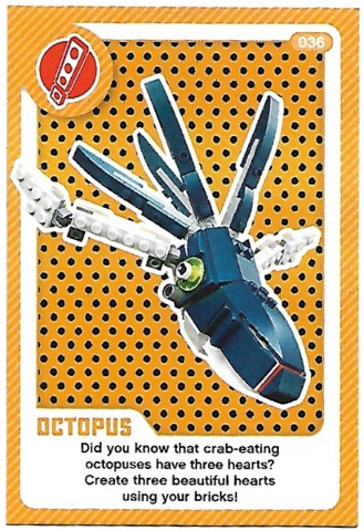 Create the World Living Amazingly Trading Card #036 Octopus
