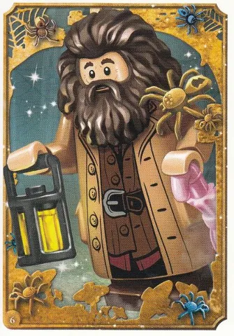 Harry Potter Trading Card Collection Series 1 - # 6
