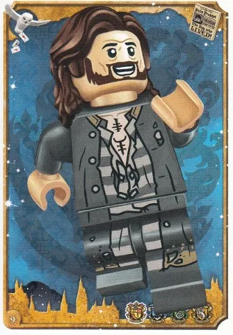 Harry Potter Trading Card Collection Series 1 - # 9