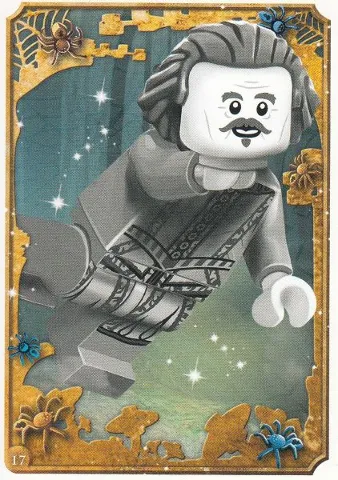 Harry Potter Trading Card Collection Series 1 - # 17