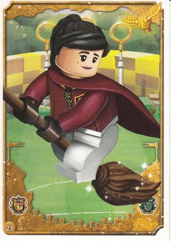 Harry Potter Trading Card Collection Series 1 - # 25