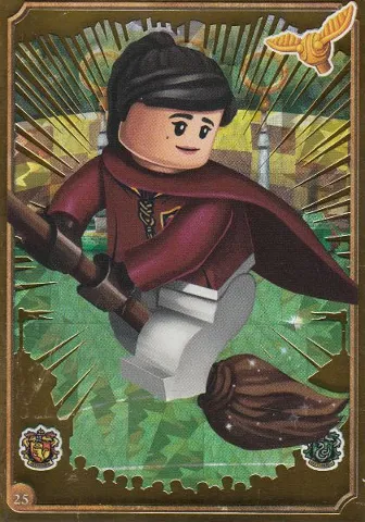 Harry Potter Trading Card Collection Series 1 - # 25 (Foil Variant)