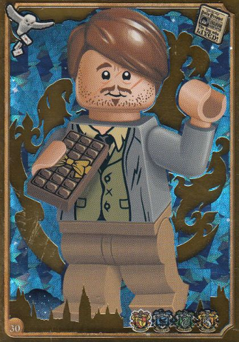 Harry Potter Trading Card Collection Series 1 - # 30 (Foil Variant)