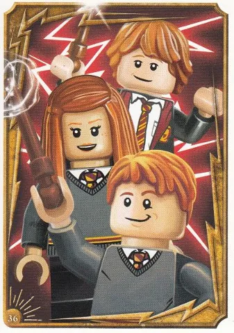 Harry Potter Trading Card Collection Series 1 - # 36