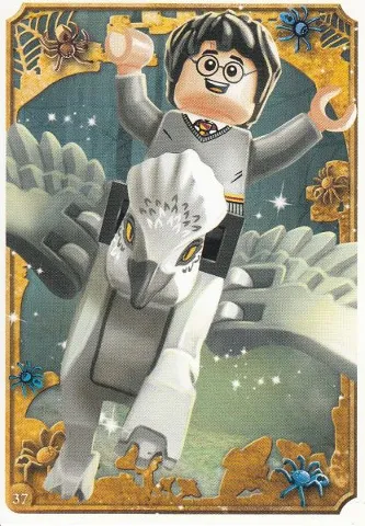 Harry Potter Trading Card Collection Series 1 - # 37