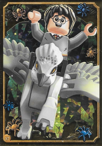 Harry Potter Trading Card Collection Series 1 - # 37 (Foil Variant)