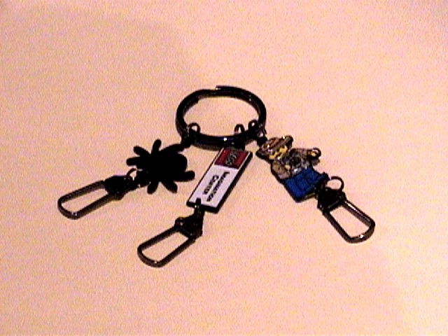 Imagination Center Key Chain Adventurer with Spider