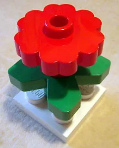 Display Flower with Green Leaves on White Plate 17.5 x 17.5 x 25cm